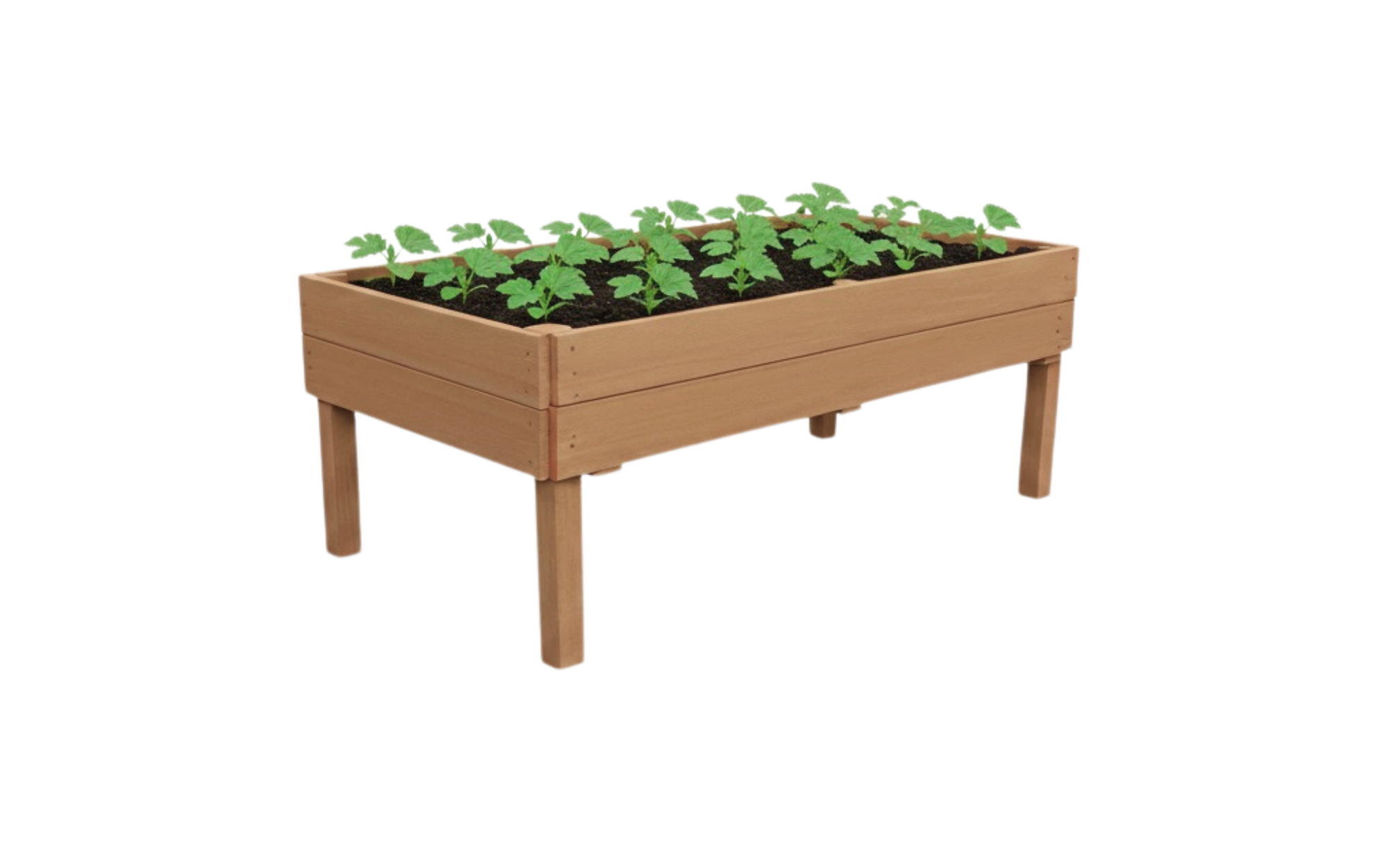 Starter 4 x 4 raised garden bed