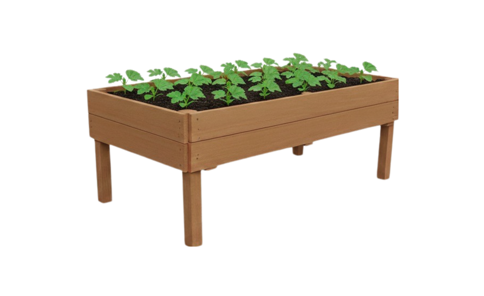 Family 4 x 8 raised garden bed