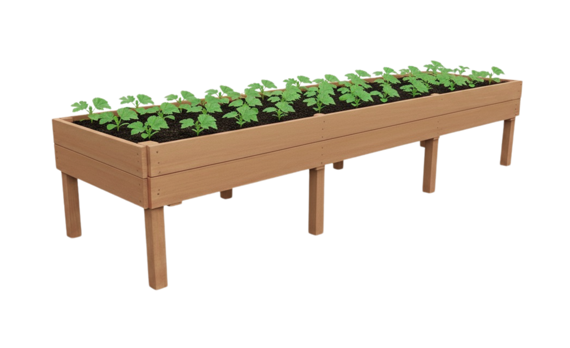 Deluxe 6 x 12 raised garden bed